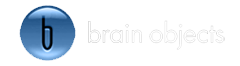 Brain Objects